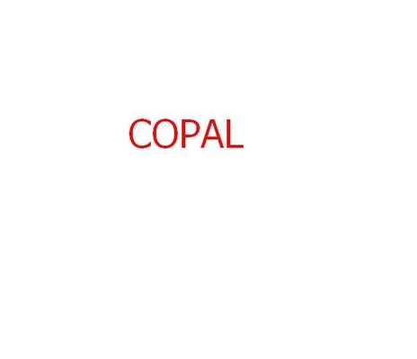 химический фильтр на minilab 75x22x35mm KML-25/NPS/Copal поставщик