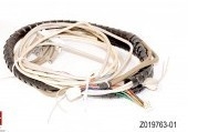 Часть minilab Noritsu # НАБОР БЛОКА РАЗВЕРТКИ Z019763-01 СОВМЕСТНЫЙ (1.5M) поставщик